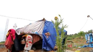 From gutter to concrete houses: A happy twist for Narikuravars by CM Stalin