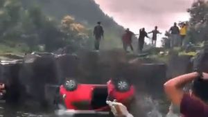 Caught On Cam: Car Plunges Into Waterfall In MP, Family Saved