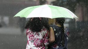 Tamil Nadu Weather: Chennai, Other Dists To Get Widespread Rains For Next 2 Days