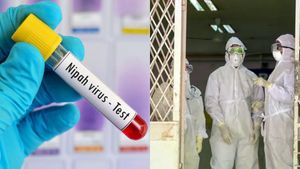 26-Year-Old Man Admitted To Kolkata Hospital With Nipah Virus Symptoms