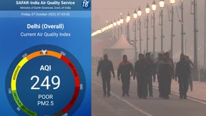 Delhi Residents Breathe Toxic Air As Pollution Levels Spike Amidst Fog