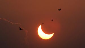 Surya Grahan 2023 On October 14: Is Hybrid Solar Eclipse Or 'Ring of Fire' Visible In India?