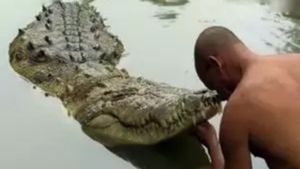 One Year Later, New Crocodile Shocks Devotees At Anantha Padmanabhaswamy Temple