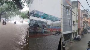 Heavy Rain Lashes Chennai: Check Latest Weather Report & Visuals