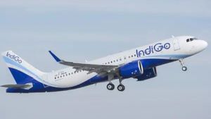 Alleged Drunk Passenger Misbehaves With IndiGo Crew On Flight, Arrested At Bengaluru Airport