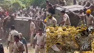 Rescue Operation Ends In Tragedy: Bengaluru Leopard Captured After 4-Day Search, Dies During Treatment