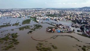 Chennai Flood Relief Fund: How To Contribute Donations For Tamil Nadu CM Relief Fund?