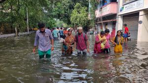 Has Chennai Returned To Normalcy After Heavy Rains? Find Out From These Viral Videos