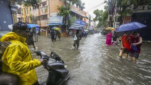 Chennai Rains: Power Supply Restored, Airport Opens As Cyclone Michaung Heads To AP Coast