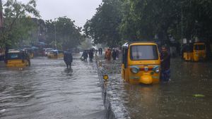 Cyclone Michaung: TN Seeks Rs 5,000 Crore Central Assistance