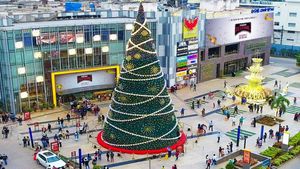 Massive Traffic Jams Near Bengaluru's Phoenix Mall Of Asia Cause Commuter Distress