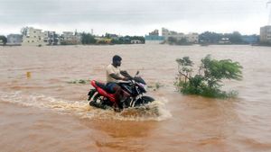 AP Govt Declares Holiday For Schools, Colleges After Cyclone Michaung Makes Landfall In AP