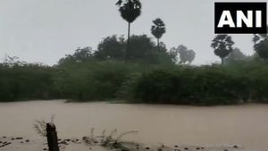 Tamil Nadu Weather Report: IMD Issues Red Alert For Kanyakumari, Tirunelveli, Thoothukudi, Tenkasi