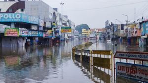 Tamil Nadu Rain: 10 Dead In Tirunelveli, Tuticorin Districts; Govt. Shuts Schools, Colleges