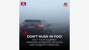 Delhi Traffic Police Issues Safety Tips As Dense Fog Reduces Visibility; Check Do's And Don'ts
