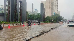 Tamil Nadu Rains: Schools Closed In Kallakurichi, Nagapattinam, Cuddalore, Vellore And Other Districts
