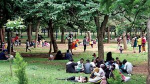 Cubbon Park Traffic Ban Lifted: Bengaluru Residents Voice Concerns