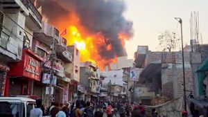 Delhi Fire Tragedy: 11 Dead, 4 Injured In Alipur Paint Factory Fire