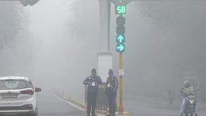 Delhi Weather Updates: Several Flights, Trains Affected Due To Dense Fog In National Capital