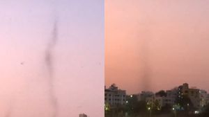 Viral Video Of Pune's Mosquito 'Tornado' Shocks The Internet 
