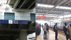 19-Year-Old Youth Commits Suicide, Disrupts Namma Metro Purple Line Services At Attiguppe Station