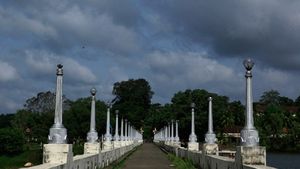 Neyyar: A Hidden Gem of Natural Beauty and Wildlife in Thiruvananthapuram