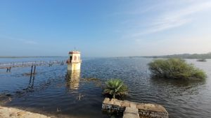Hesaraghatta Lake To The Rescue? Bengaluru Looks At Backup Water Source In May
