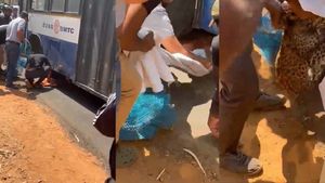 Terrified Leopard Cub Takes Shelter Under Bus Near Turahalli Forest In Bengaluru, WATCH VIDEO