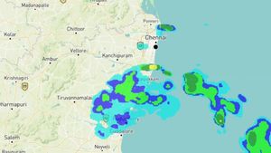 Tamil Nadu Rains: From Heatwave To Downpour, Weather Takes Sharp Turn As Madurai To Kanyakumari Gets Heavy Rai