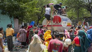 After Bengaluru Water Crisis, Delhi Faces Water Shortage: See List Of Affected Areas, Reason Behind Scarcity