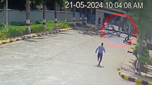 Caught On Camera: Tree Falls On Bike-Borne Couple In Hyderabad, Man Dies Instantly