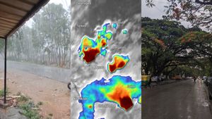 Karnataka Weather Alert: Light Rain Or Intense Downpours In Bengaluru? Check Forecast For The Weekend