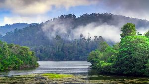 How The E-Pass System Impacting Local Business In Kodaikanal