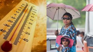 Tamil Nadu Weather Update: North Interior On Orange Alert; Karur, Erode Boil At 44.0°C