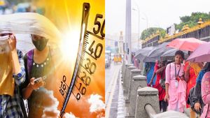 Tamil Nadu Weather Update: 3 Districts Sizzles At Over 40.0°C; Check Rain Alert For These Places