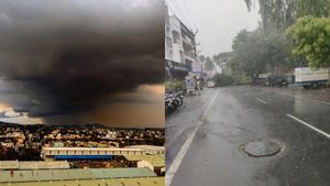 Tamil Nadu Weather Update: Vepur Receives 20 CM Rainfall; Several Dists To Get Heavy Rains For Next 48 Hours