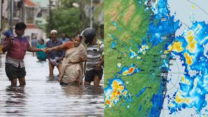 Tamil Nadu Weather Update: Puduchatram Gets 16 CMS Rain; Over 20 Dists Expected To Get Heavy Rains In 24 Hours
