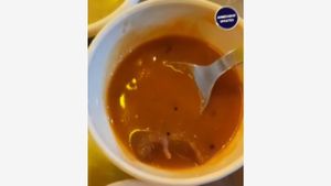 WATCH Video: Dead Rat Found In Sambar At Ahmedabad's Restaurant