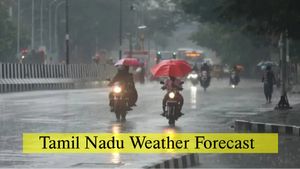 Tamil Nadu Weather Update: Chinnakalar Records 20 CMS Rains; Heavy Downpour Alert Issued
