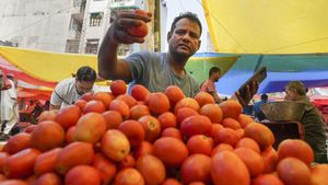 Why Are Tomato Prices So High In Bengaluru?