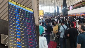 List Of Flights Cancelled At Bengaluru Airport: Can Passengers Claim Compensation?