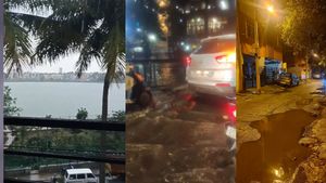 Bengaluru Rain: Torrential Showers Sweep Garden City As Monsoon Phase Shifts To Moderate