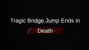 Cattle Transporters in Chhattisgarh Die After Bridge Jump, No Assault: Police