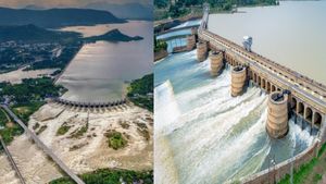 Karnataka Dam Water Level Today (8th July 2024): Check Dam Water Level In Karnataka State