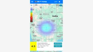 Hingoli Earthquake Today: 4.5 Magnitude Tremor Shakes Maharashtra
