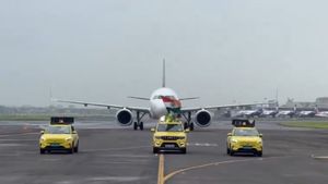 Team India Receives Grand Water Cannon Salute At Mumbai Airport: WATCH Video