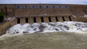 Tamil Nadu Water Levels In Dams On July 20: From Mettur To Bhavanisagar, Check Here