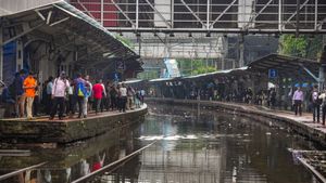 Red Alert In Mumbai: Schools, Colleges Closed Due To Severe Rain And Waterlogging – Latest Train Advisory