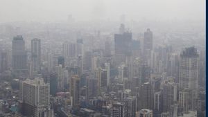 South Mumbai's Unsafe Buildings: MHADA Issues 849 Notices And Moves Forward With Redevelopment