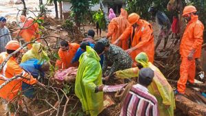 Wayanad Landslide Tragedy: Kerala Government Issues Emergency Helpline Numbers; Many Dead, Hundreds Missing
